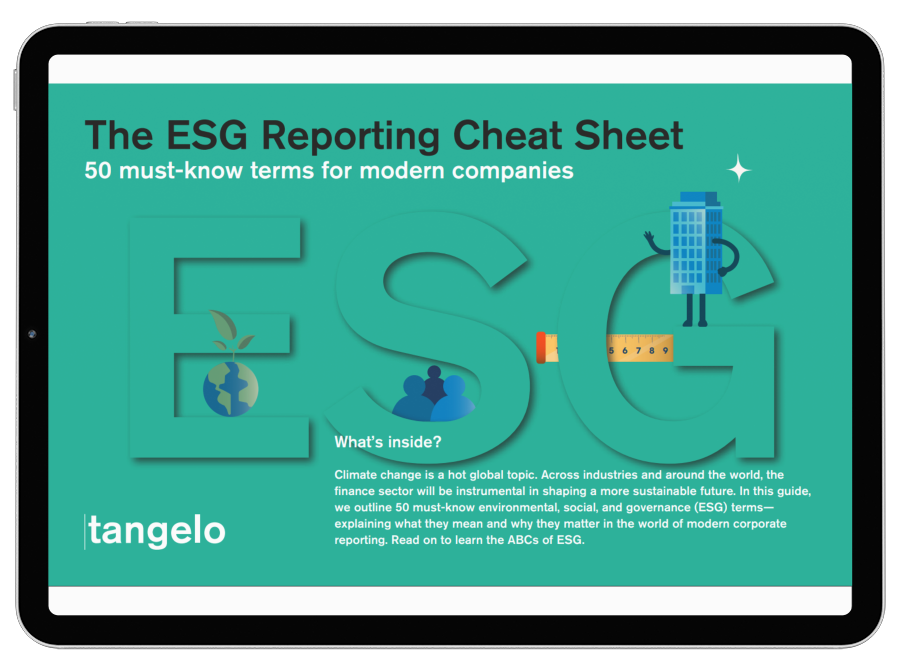 ESG Cheat Sheet ipad